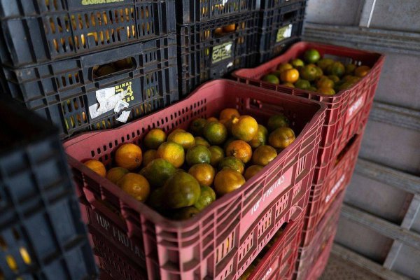 中国股票配资网网 美加征关税影响巴西约7.7万吨水果出口