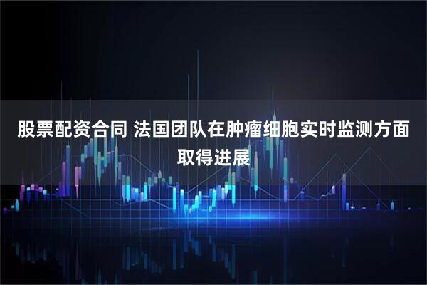 股票配资合同 法国团队在肿瘤细胞实时监测方面取得进展